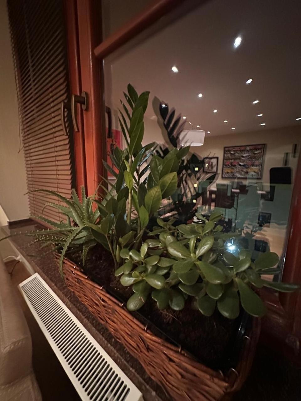 Apartament Josefina Поляниця-Здруй Екстер'єр фото